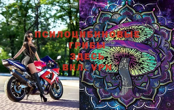 тгк Богородицк