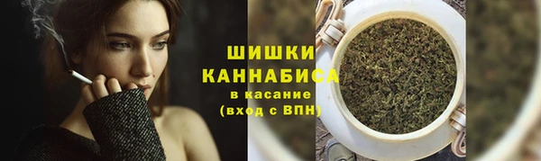 тгк Богородицк
