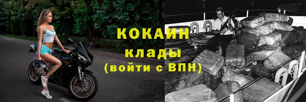 тгк Богородицк